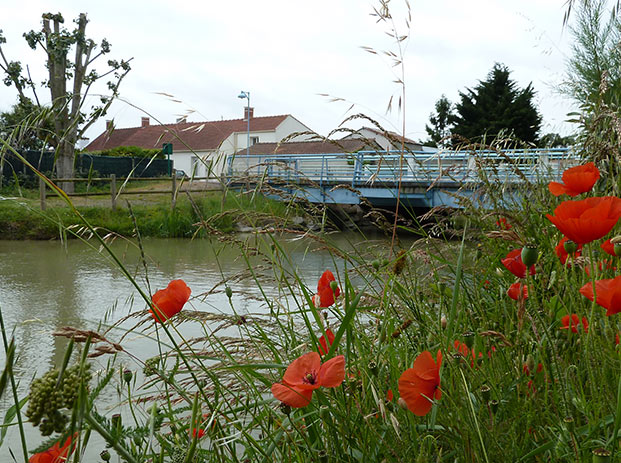 promenade-le-perrier