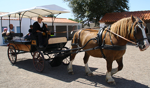 balade en calèche