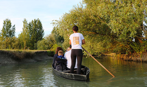 balade en calèche