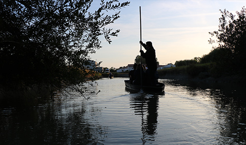 balade au crépuscule