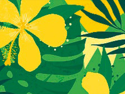 BRAZIL Marché producteurs Le Perrier 2021