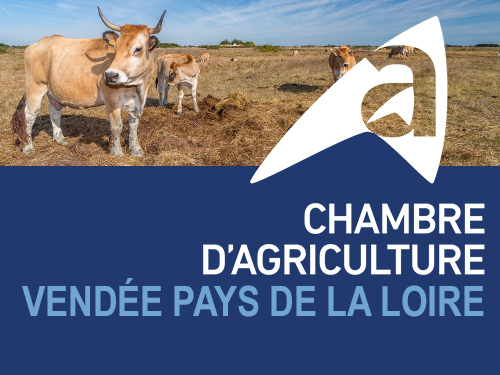 Élection des membres de la chambre d’agriculture : avis de révision des listes électorales