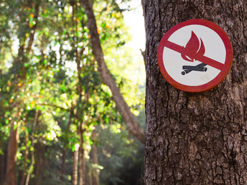 Arrêté préfectoral : mesures temporaires de prévention des incendies et de protection des forêts contre les incendies