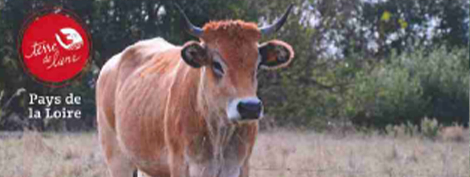 Journée Ferme Ouverte du Pré-tords