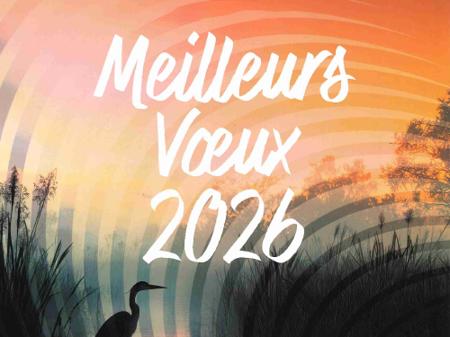 Meilleurs voeux 2026