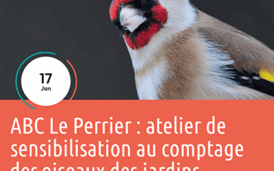 Atelier de sensibilisation sur les oiseaux des jardins