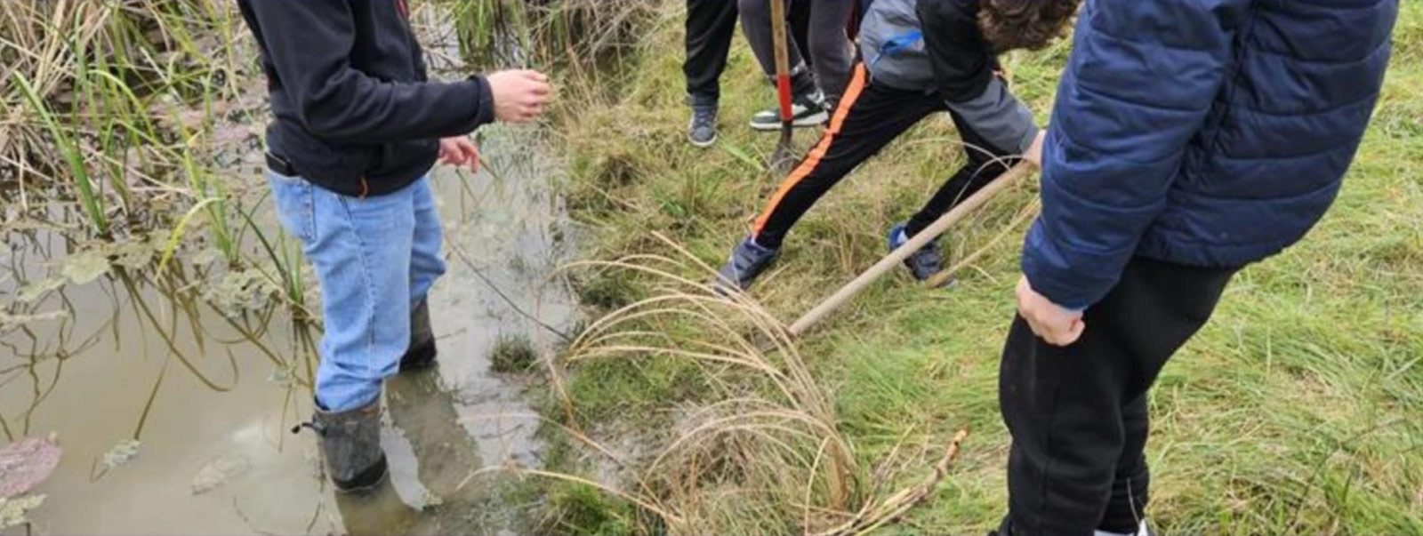 Atelier Biodiversité et plantation de roseaux – La Belle Action